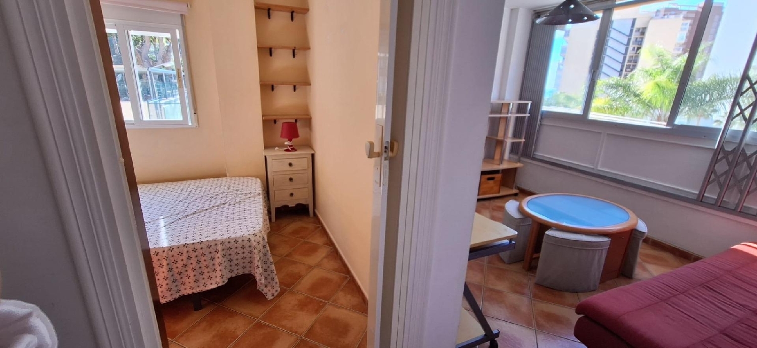  à vendre studio Benidorm (Centro) Marina Baixa 7