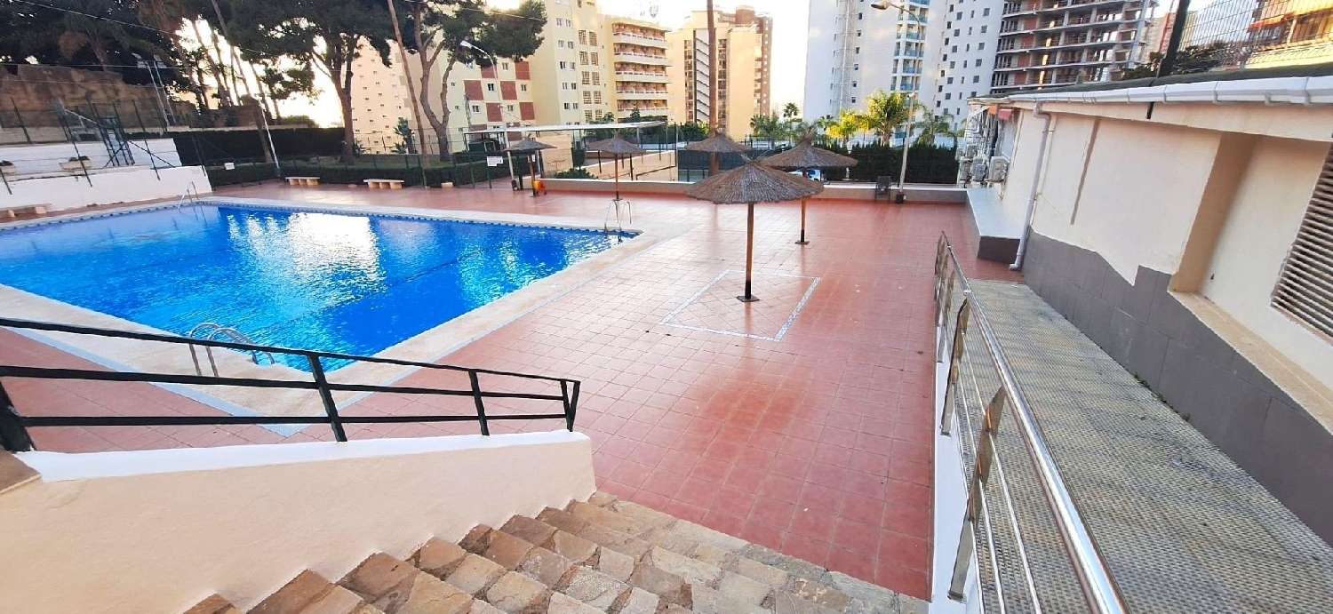  à vendre studio Benidorm (Centro) Marina Baixa 3