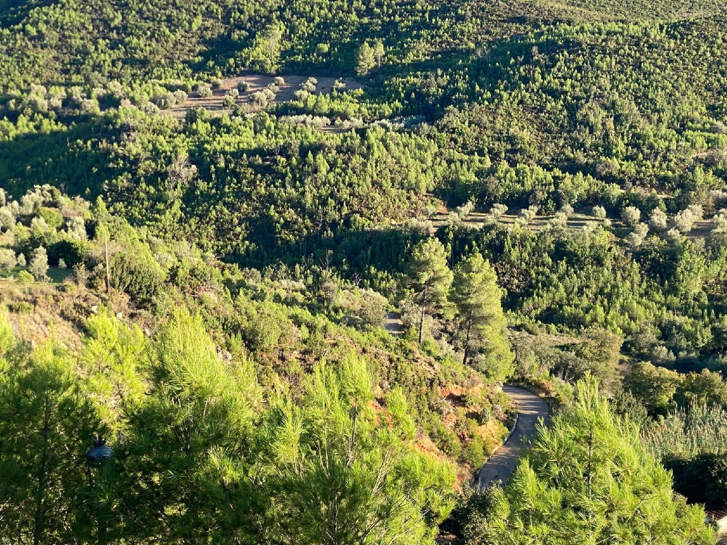  à vendre maison de ville Cortes De Pallás Valle De Ayora 2