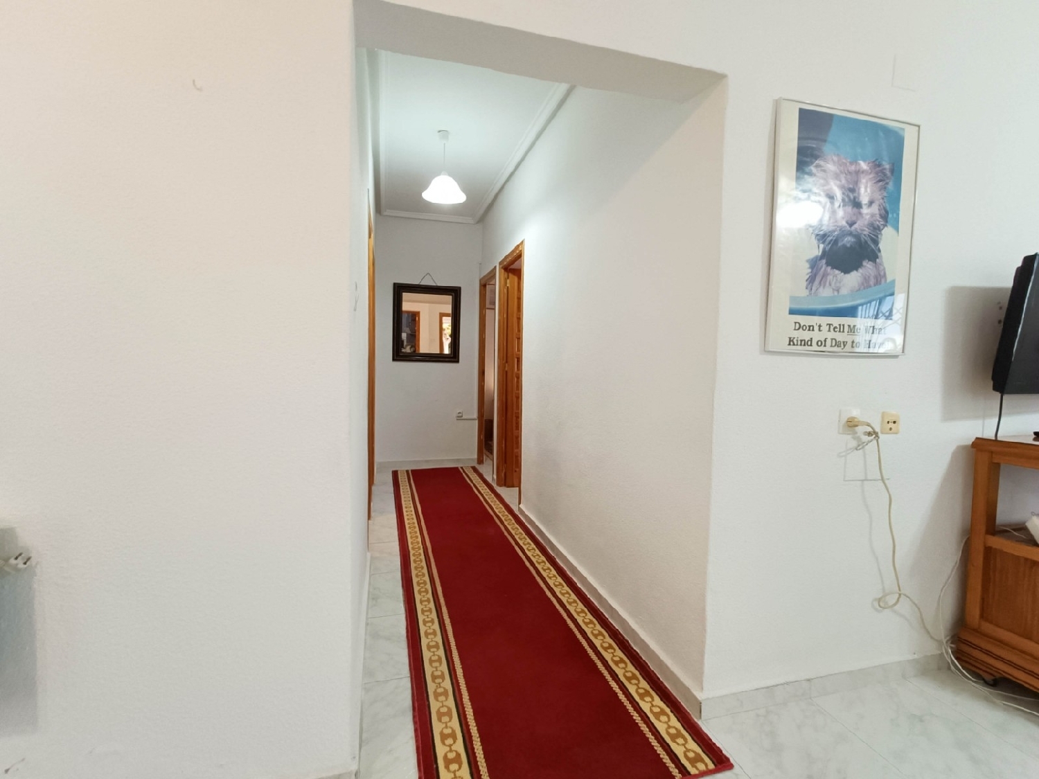  te koop villa Albatera Baix Segura 36