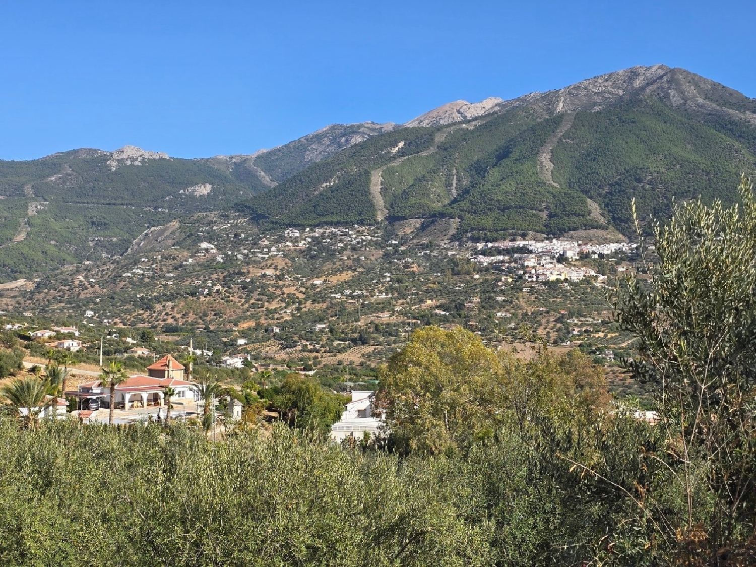  till salu villa Alcaucín Axarquía 6