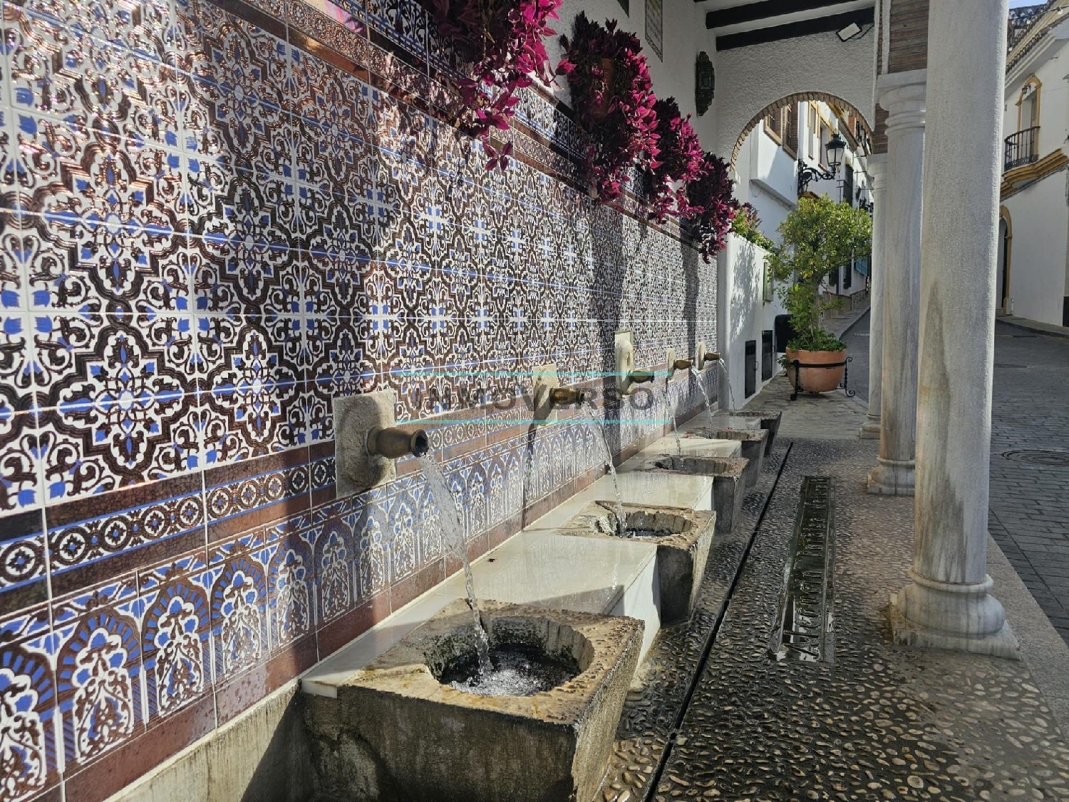  en venta chalet Alcaucín Axarquía 8