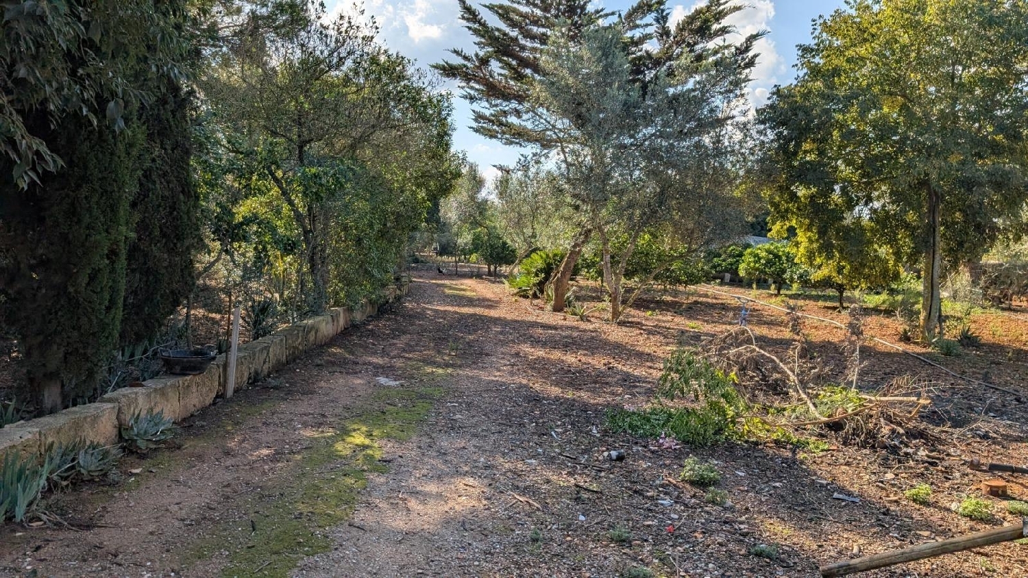  kaufen Villa Algaida Pla (Es) 6