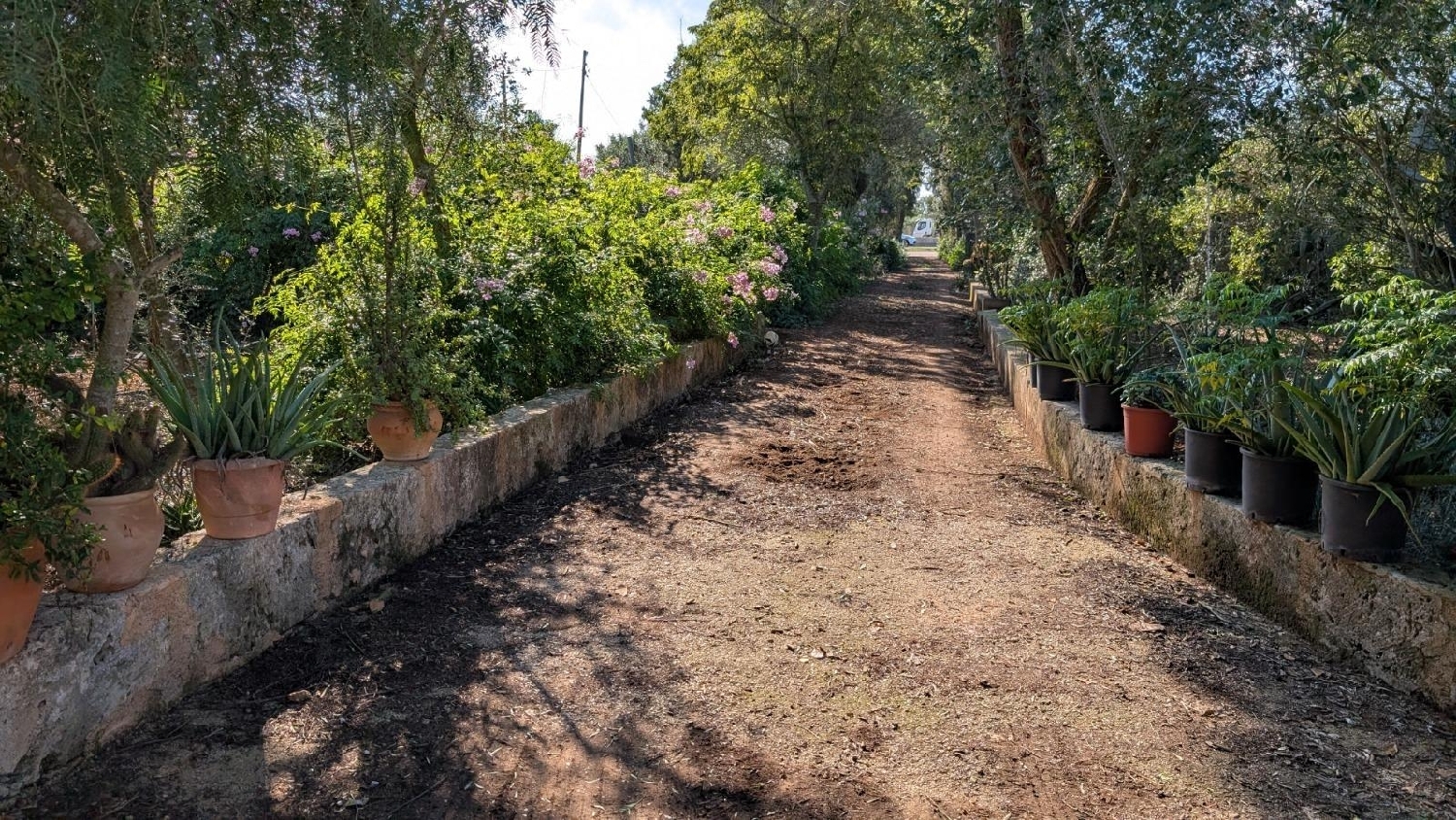  kaufen Villa Algaida Pla (Es) 5