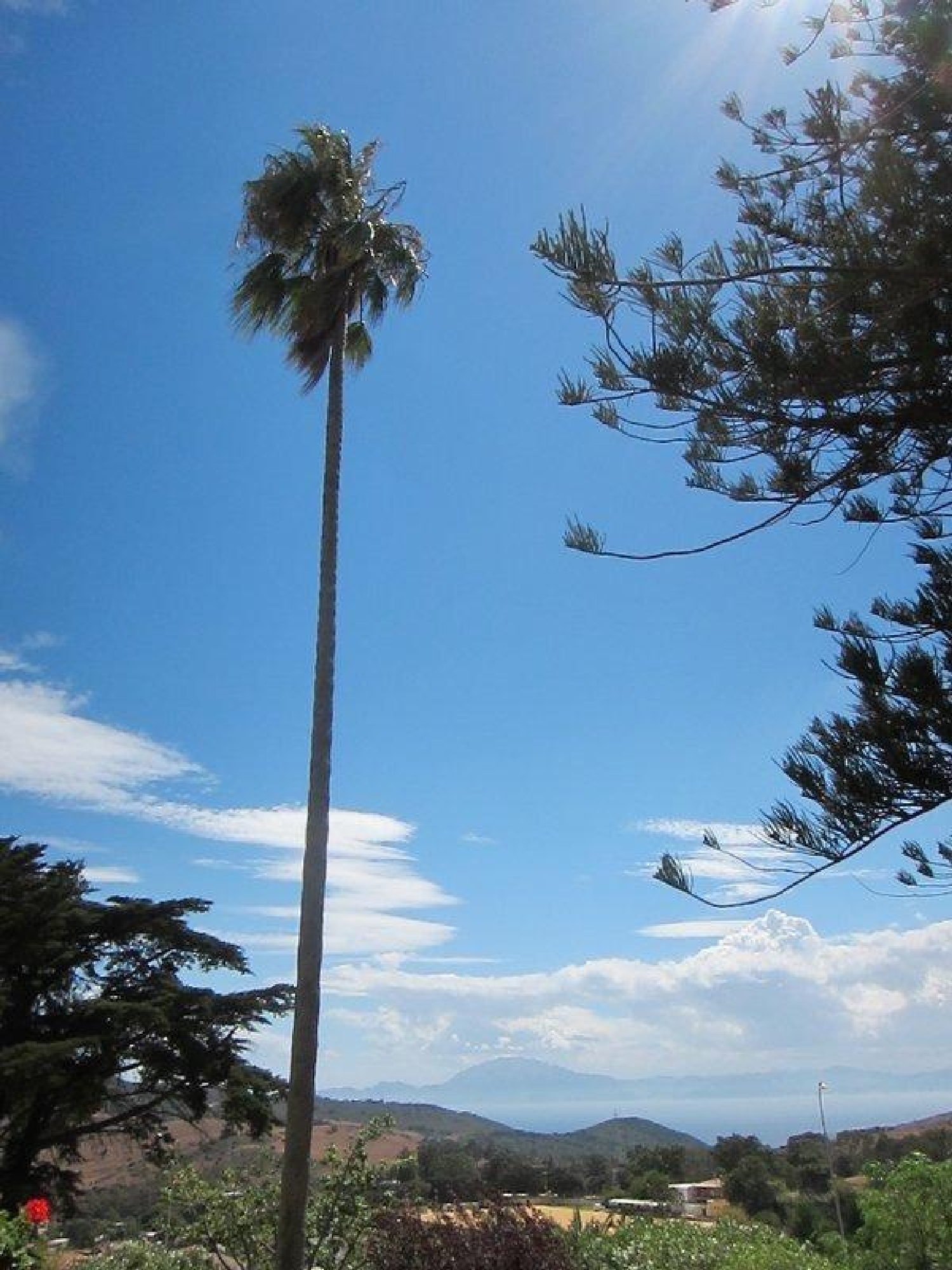  till salu villa Algeciras Casco Antiguo Campo De Gibraltar 6