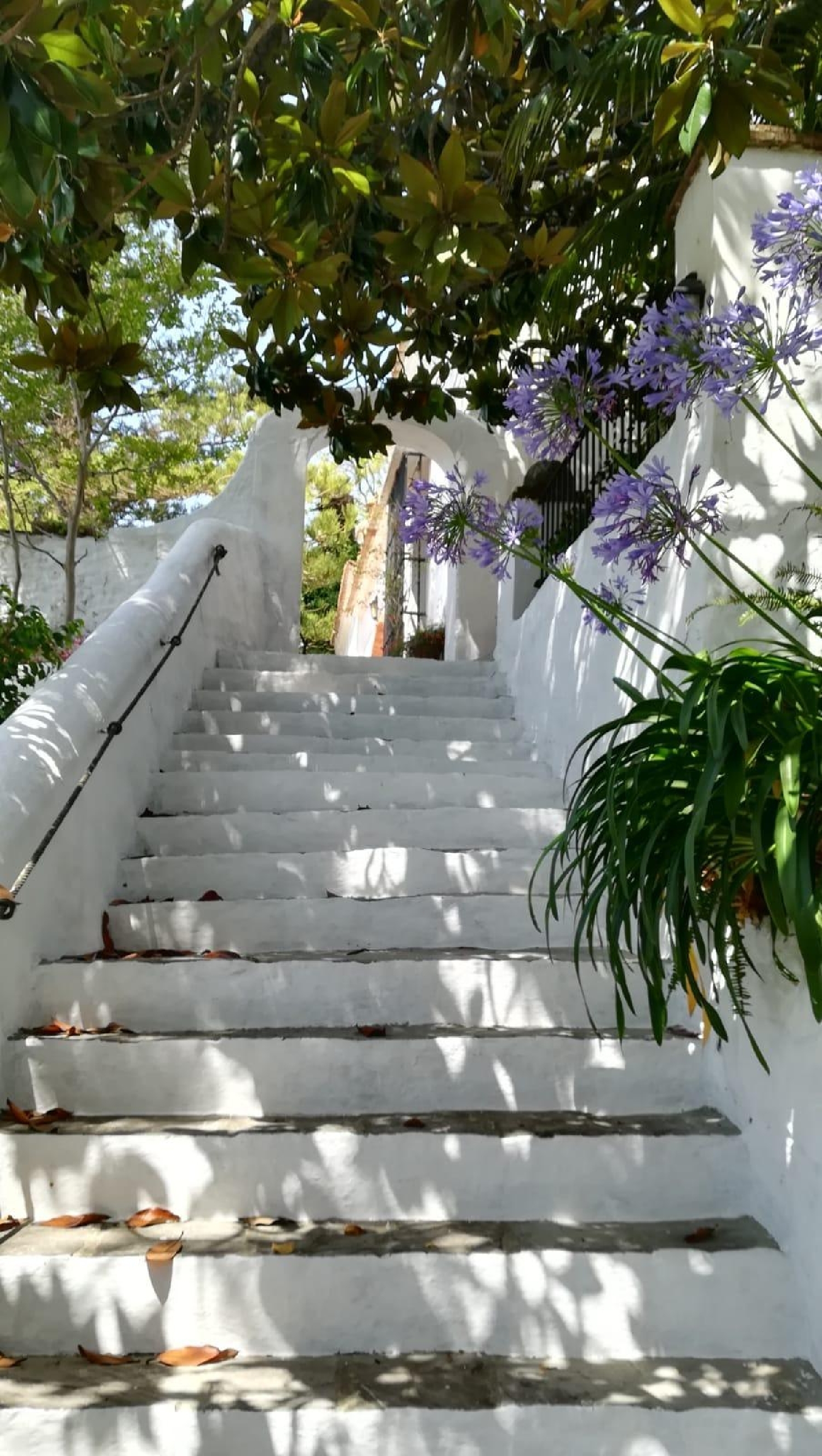  till salu villa Algeciras Casco Antiguo Campo De Gibraltar 7