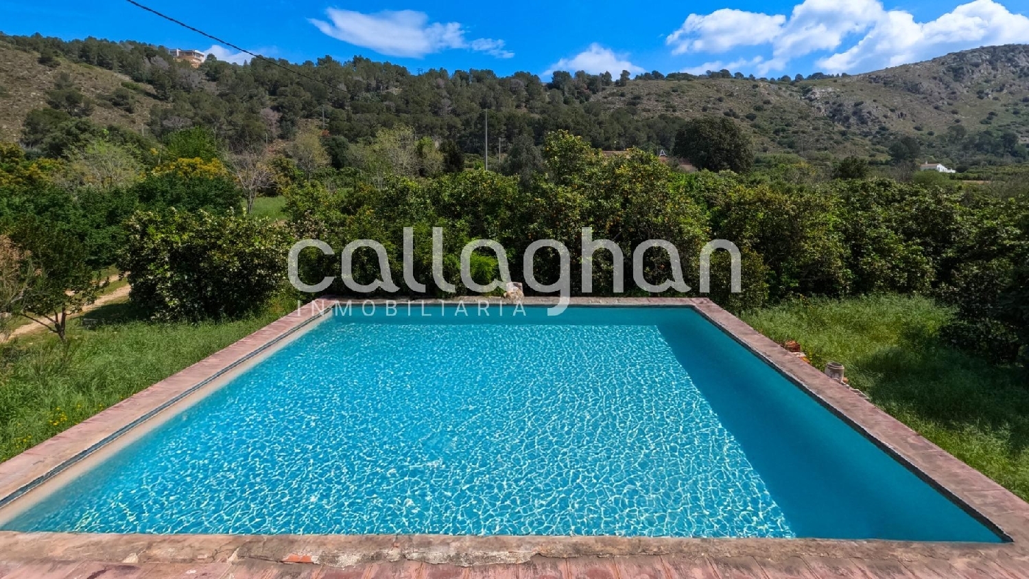  kaufen Villa Alzira Ribera Alta 3