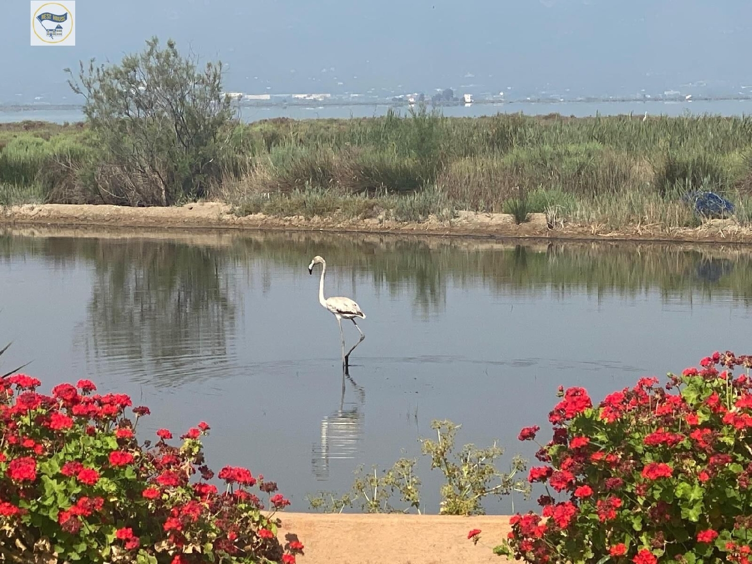  till salu villa Amposta Montsià 1