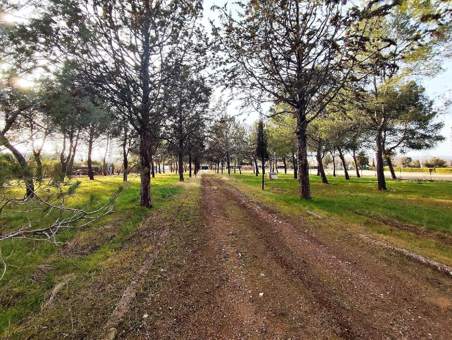  till salu villa Argamasilla De Calatrava Campo De Calatrava 4