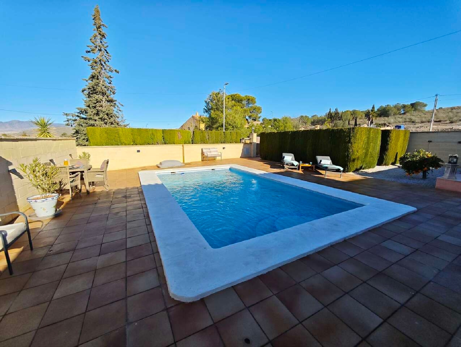  à vendre villa Cañada Del Trigo Vinalopó Mitjà 8