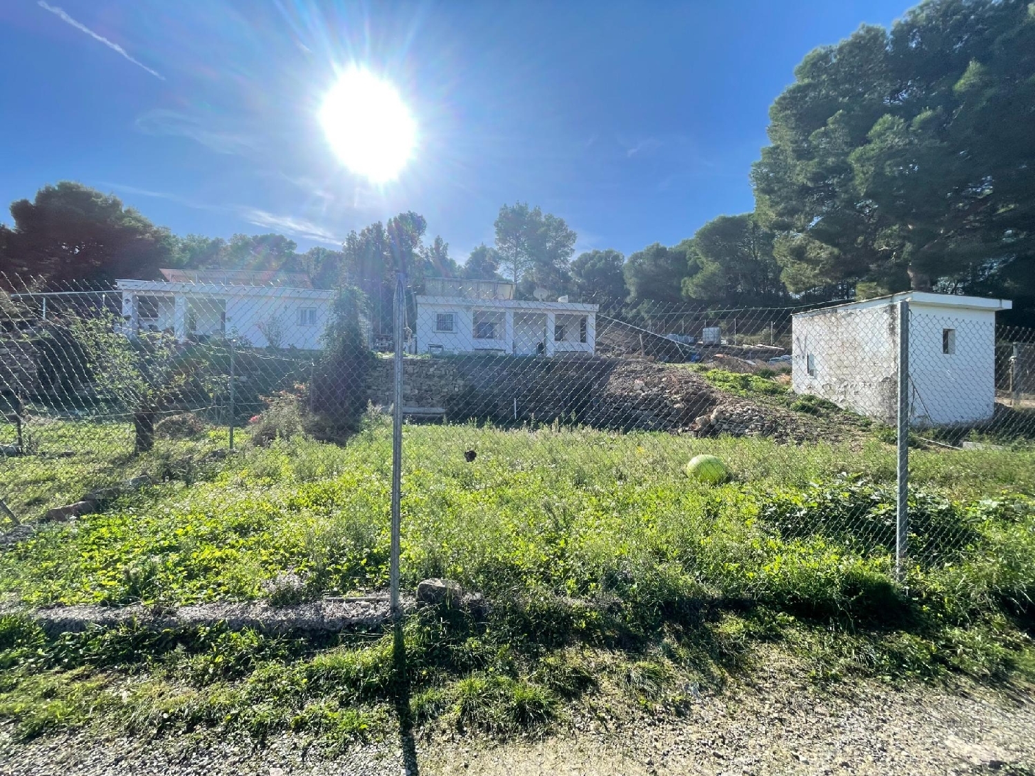  à vendre villa Casinos Camp De Túria 6