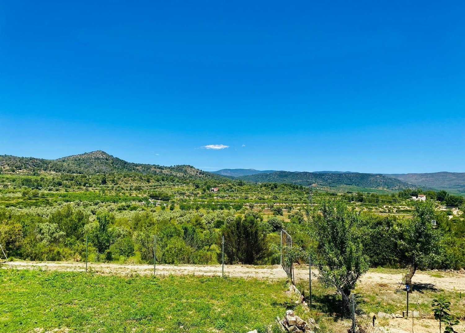  à vendre villa Casinos Camp De Túria 8