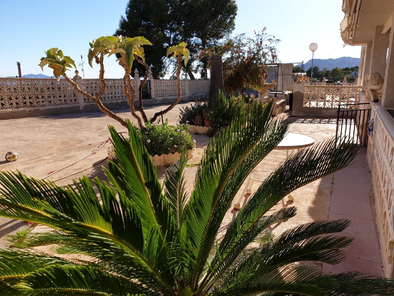 for sale villa Crevillent Baix Vinalopó 3