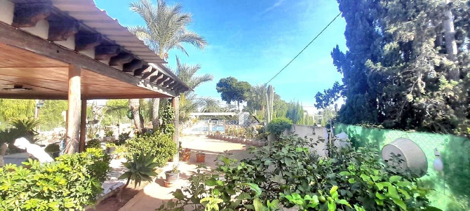  for sale villa Crevillent Baix Vinalopó 3