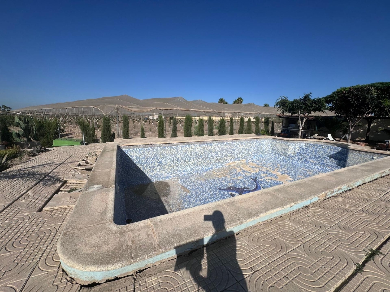 en venta chalet Daya Vieja Baix Segura 3