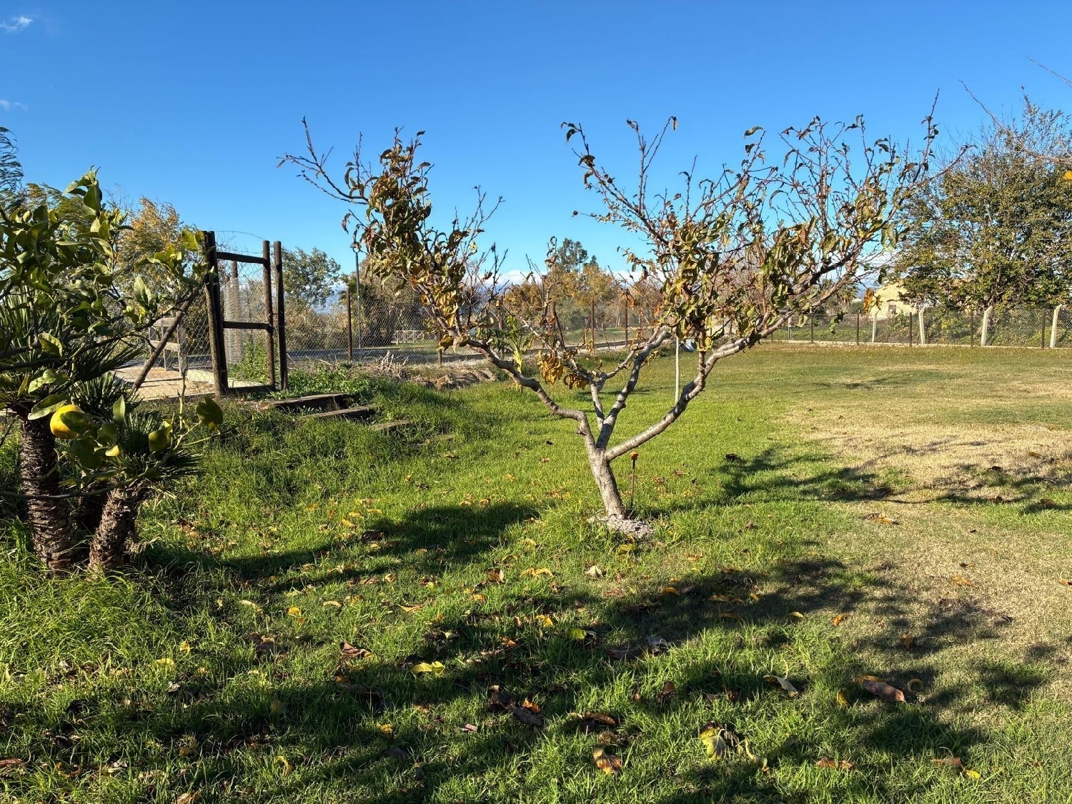 for sale villa Deltebre Baix Ebre 7