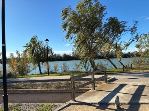 Deltebre Baix Ebre villa foto 6342183