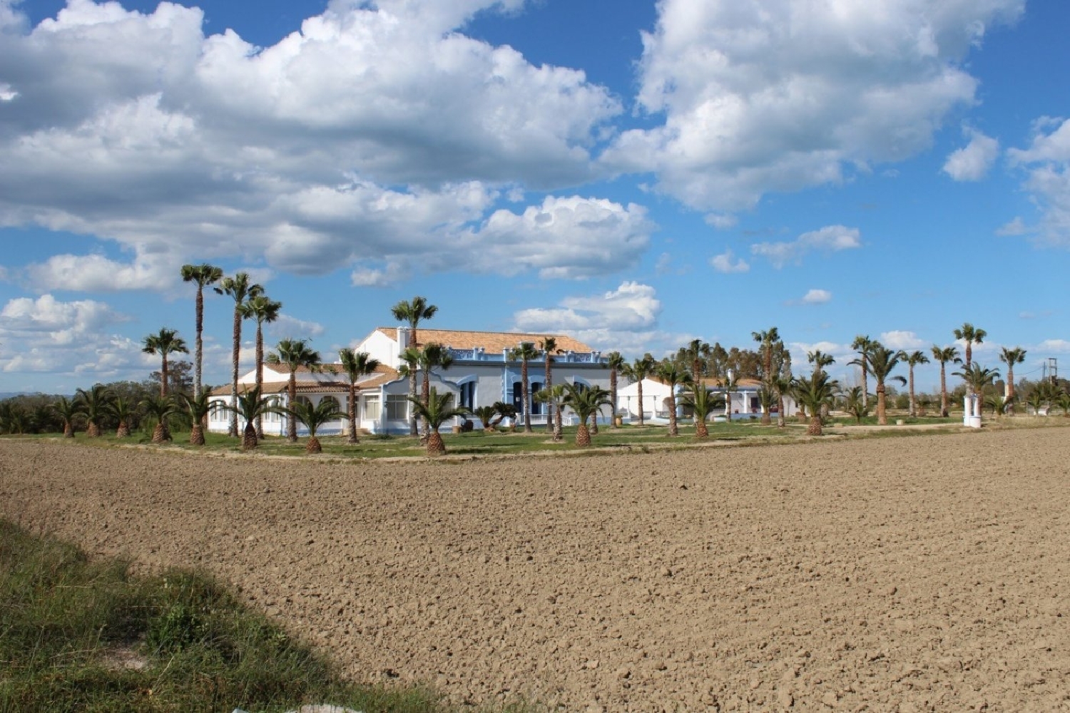  te koop villa Deltebre Baix Ebre 6