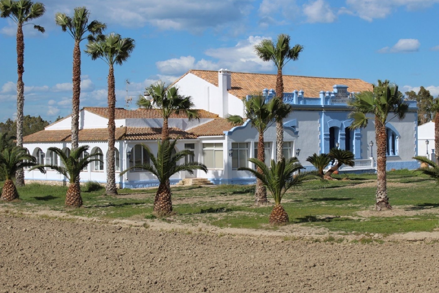  te koop villa Deltebre Baix Ebre 4