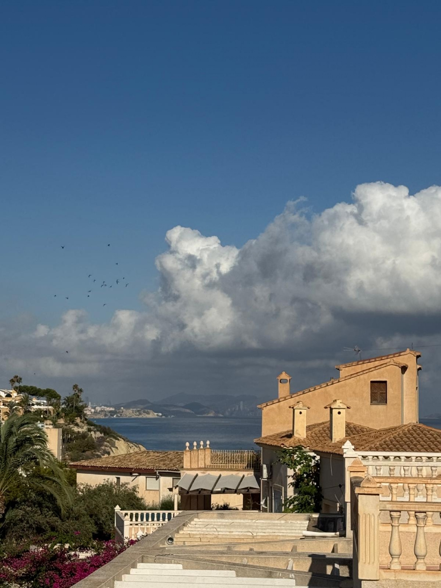  à vendre villa El Campello Alacantí 13