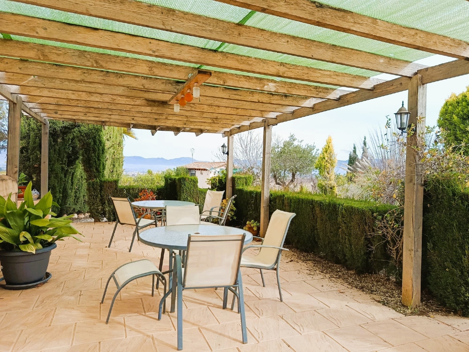  à vendre villa Elda Vinalopó Mitjà 13