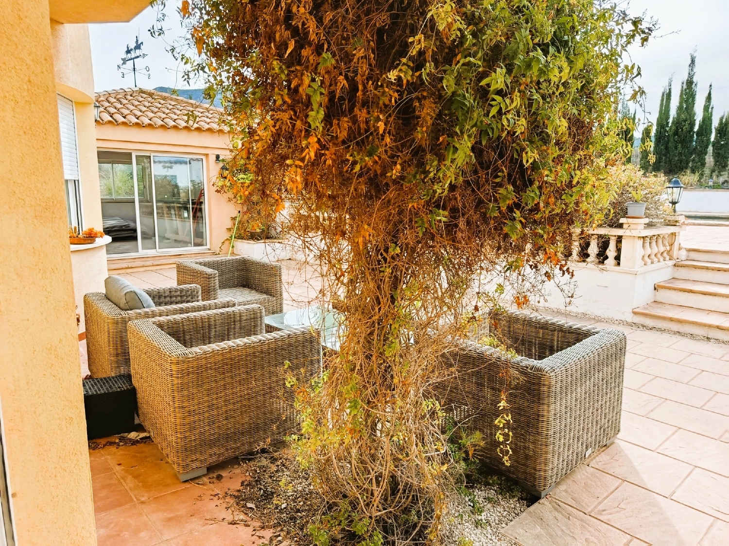  à vendre villa Elda Vinalopó Mitjà 23