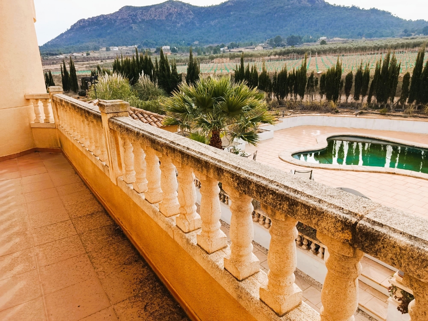  à vendre villa Elda Vinalopó Mitjà 35