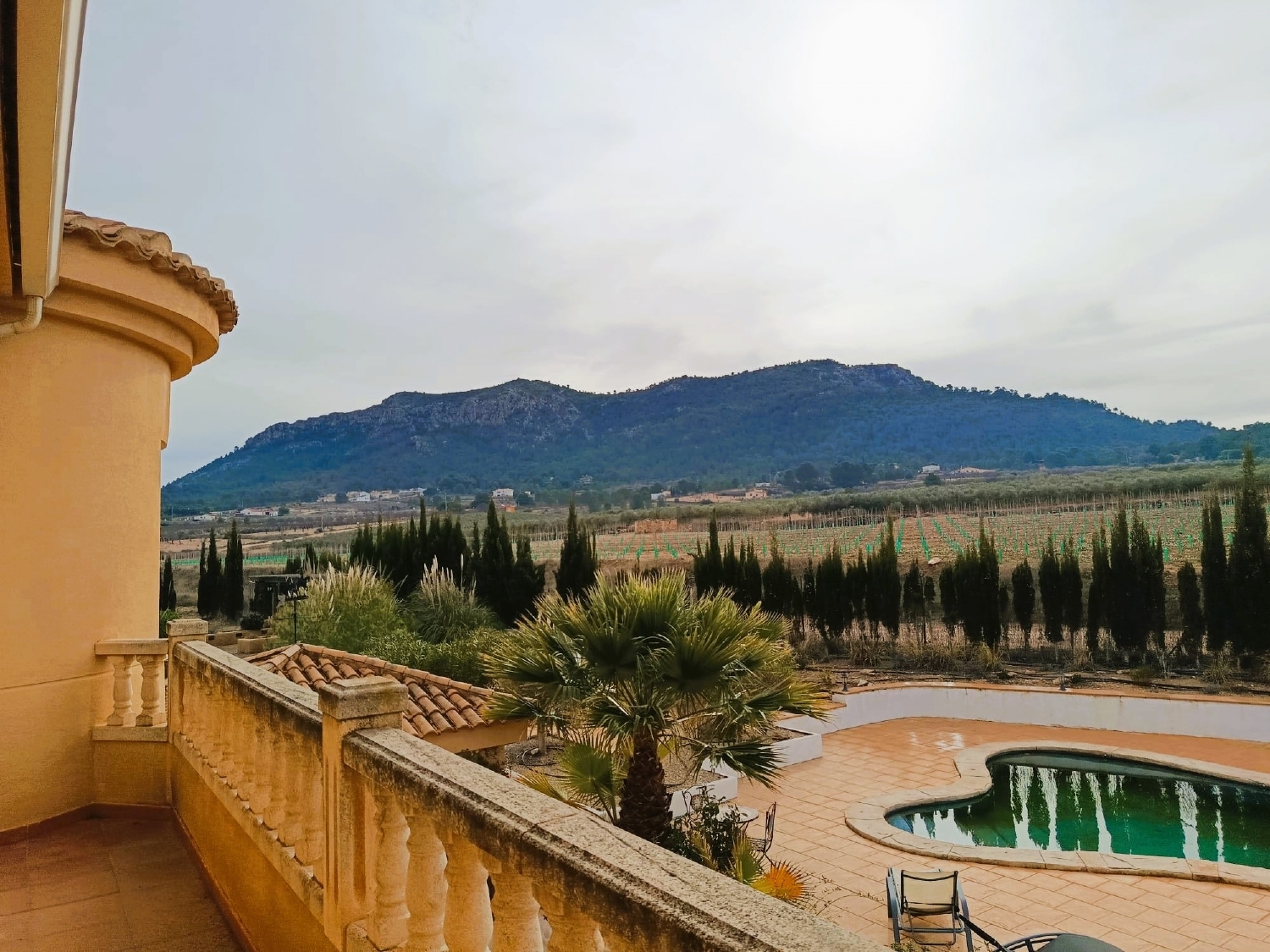  à vendre villa Elda Vinalopó Mitjà 38