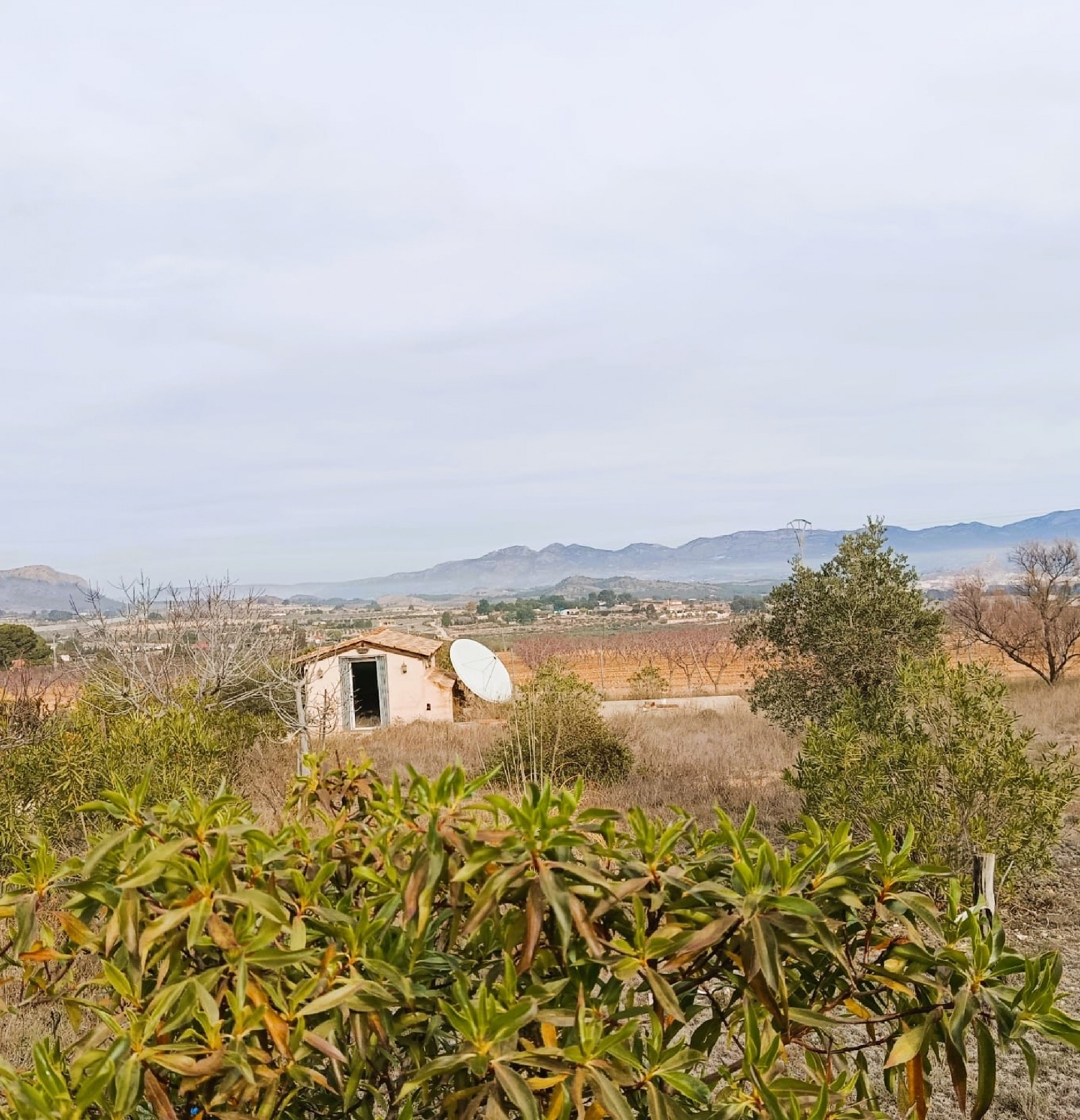  à vendre villa Elda Vinalopó Mitjà 8