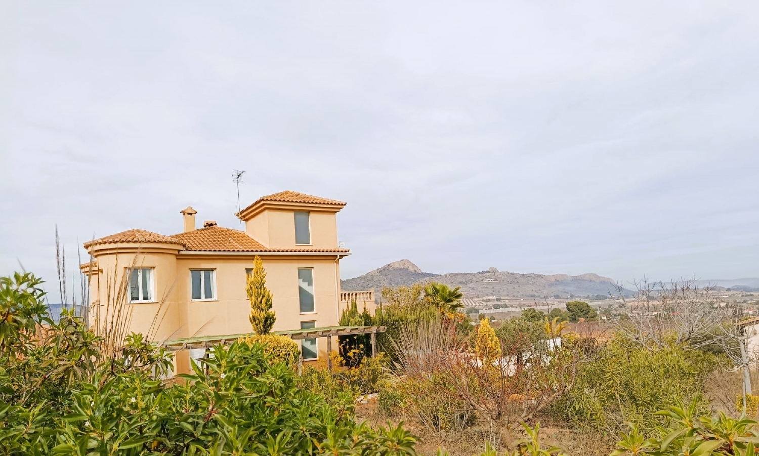  à vendre villa Elda Vinalopó Mitjà 2
