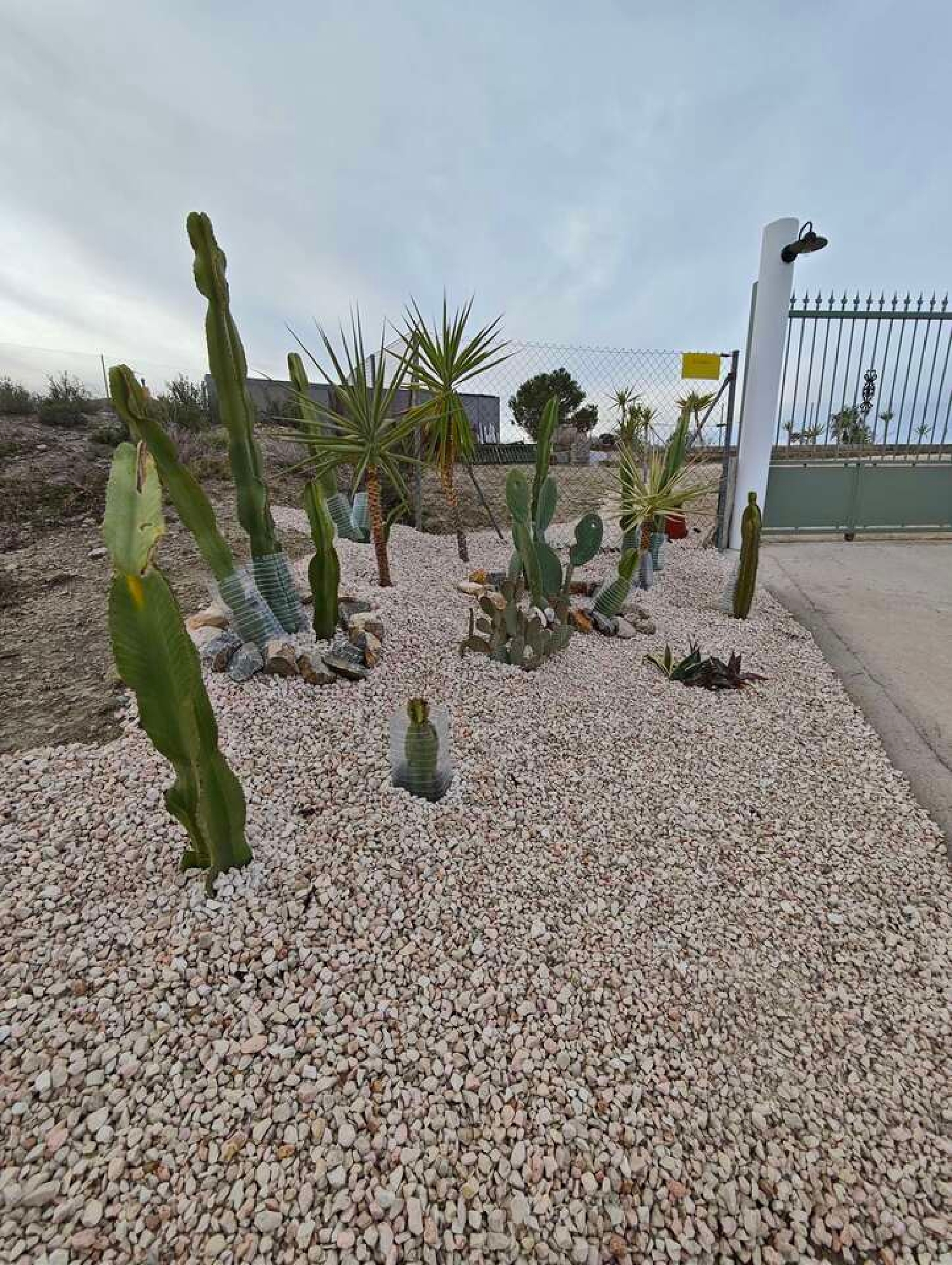  kaufen Villa Fortuna Oriental 38