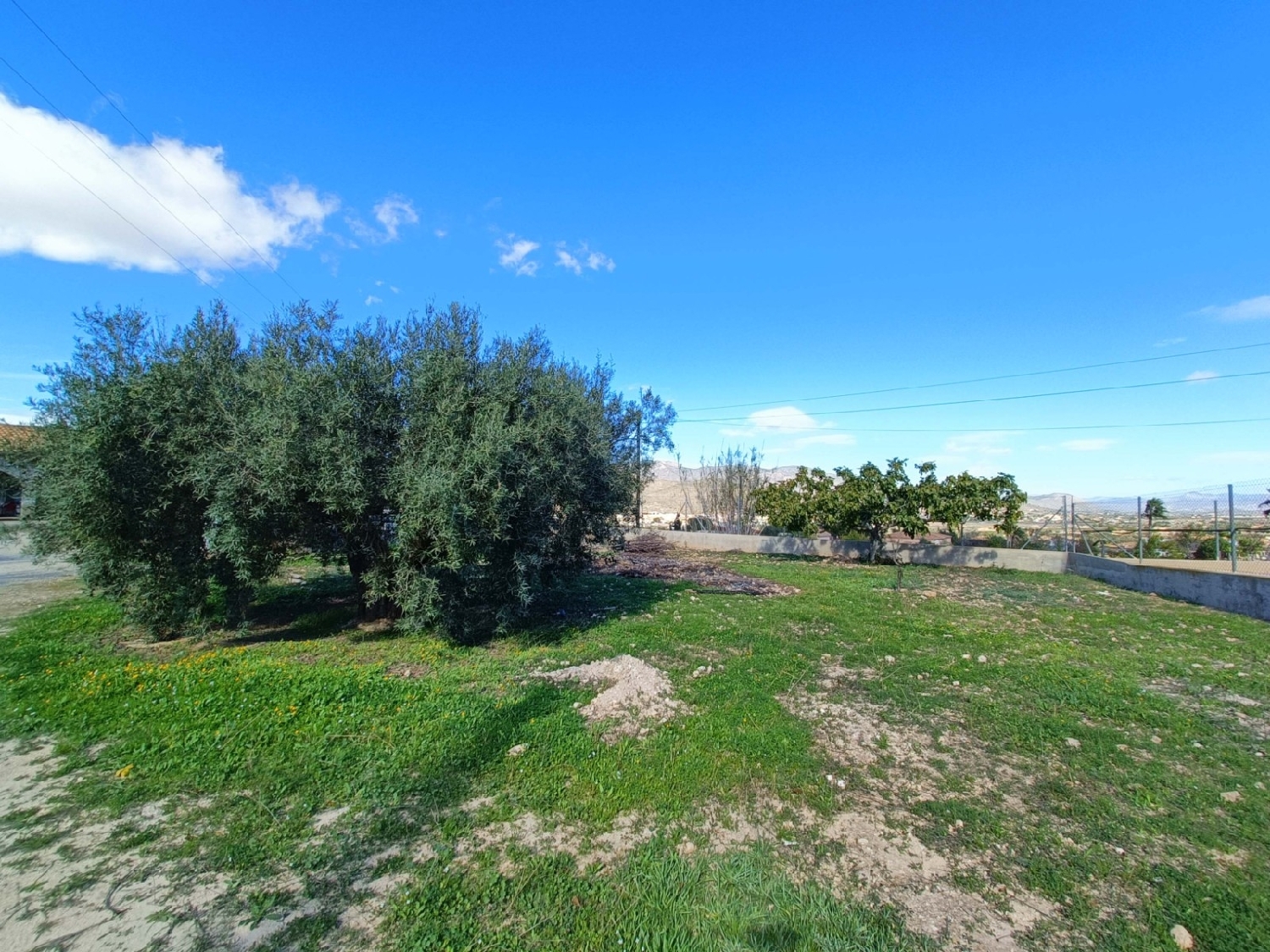  kaufen Villa Hondón De Los Frailes Vinalopó Mitjà 31