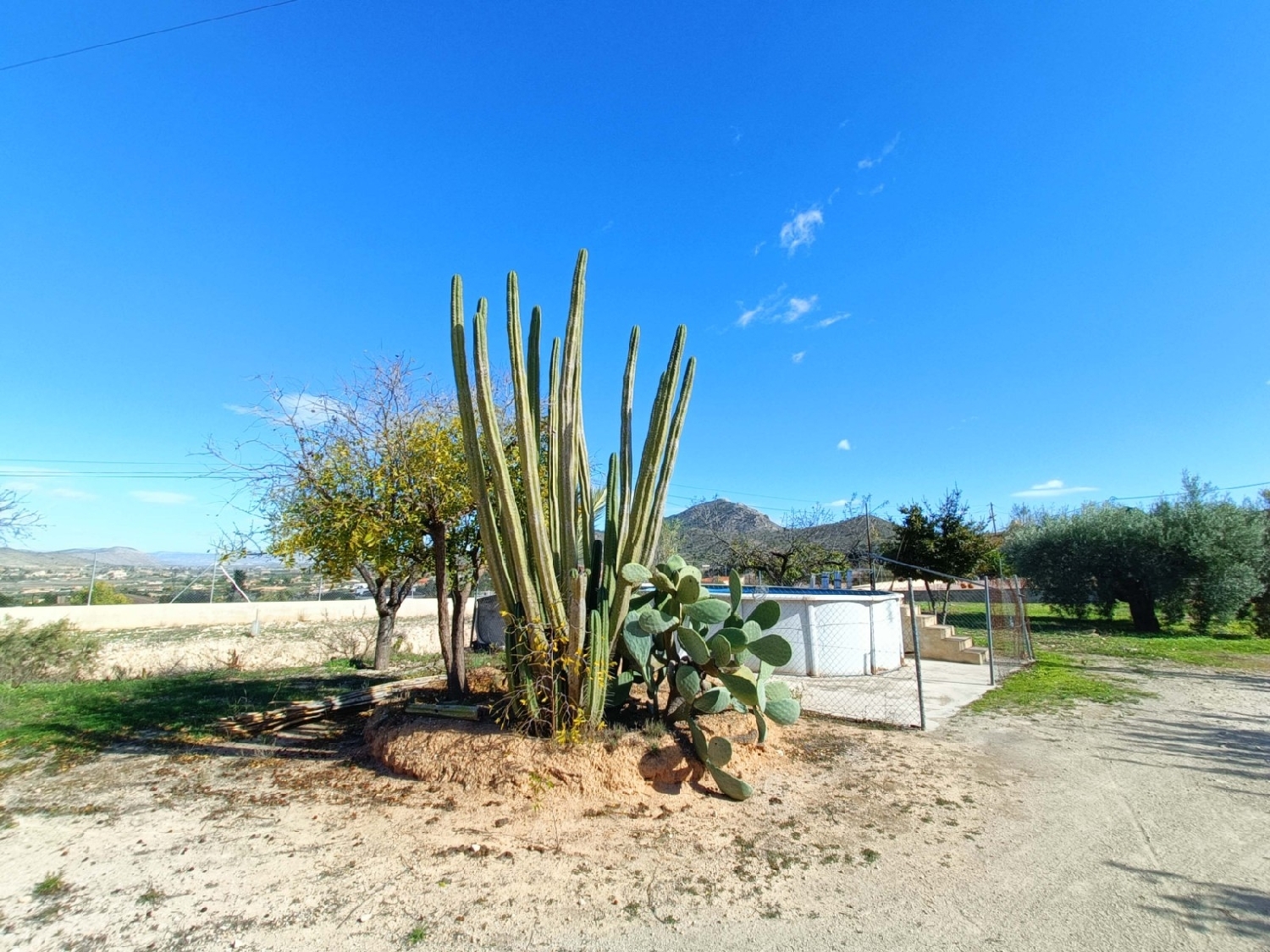  kaufen Villa Hondón De Los Frailes Vinalopó Mitjà 6