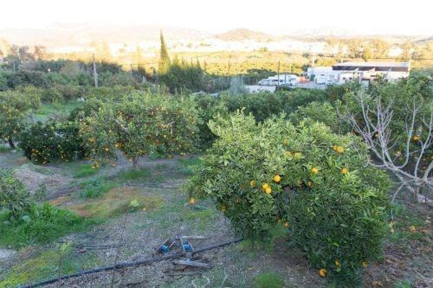  till salu villa Jimena De La Frontera Campo De Gibraltar 6