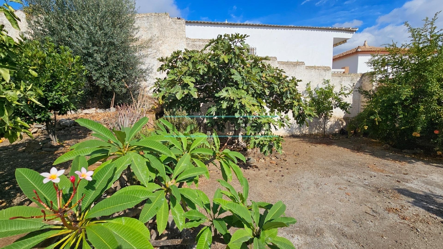 for sale villa Macharaviaya Axarquía 4