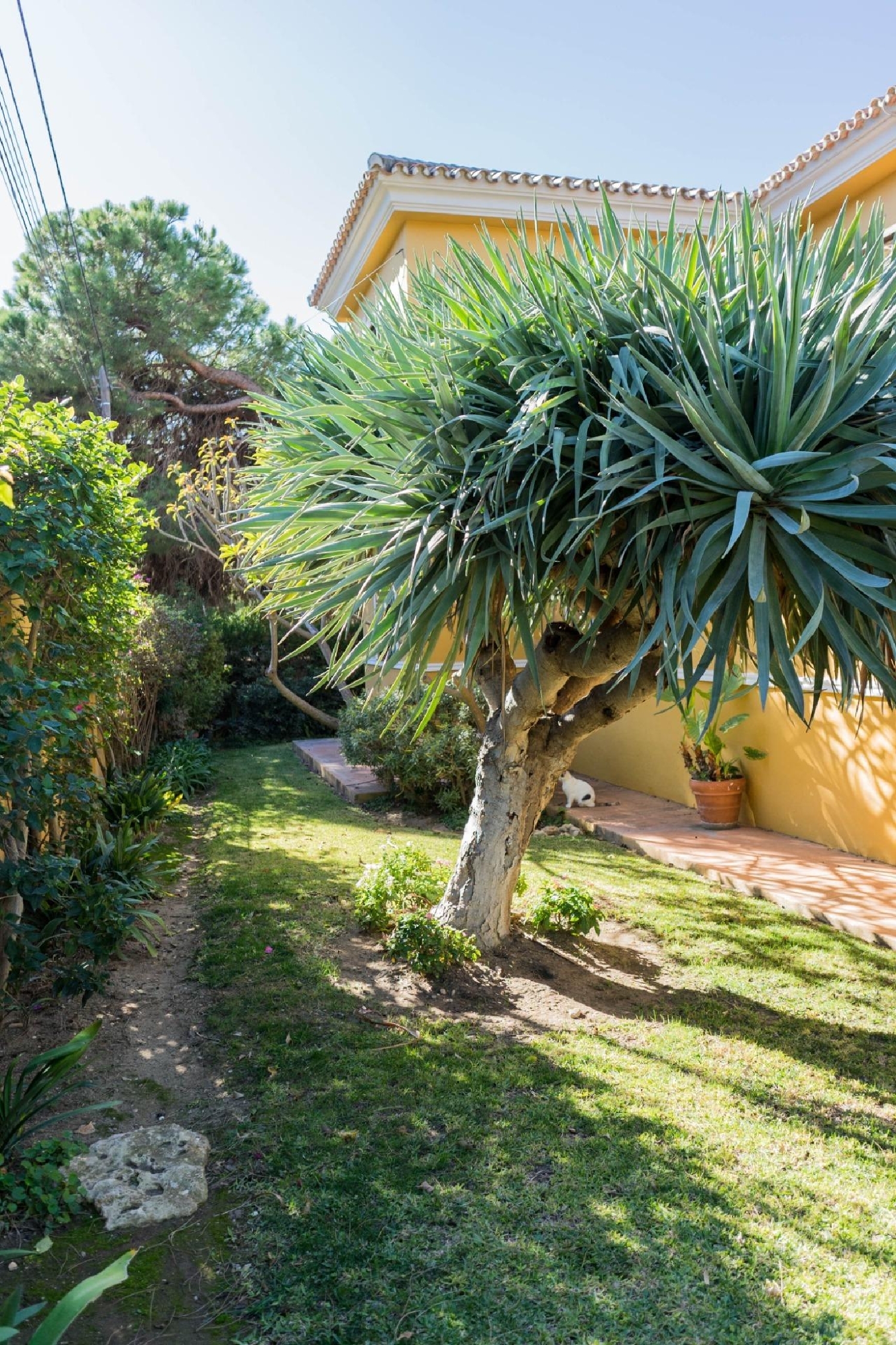 till salu villa Marbella Costa Noroeste 2