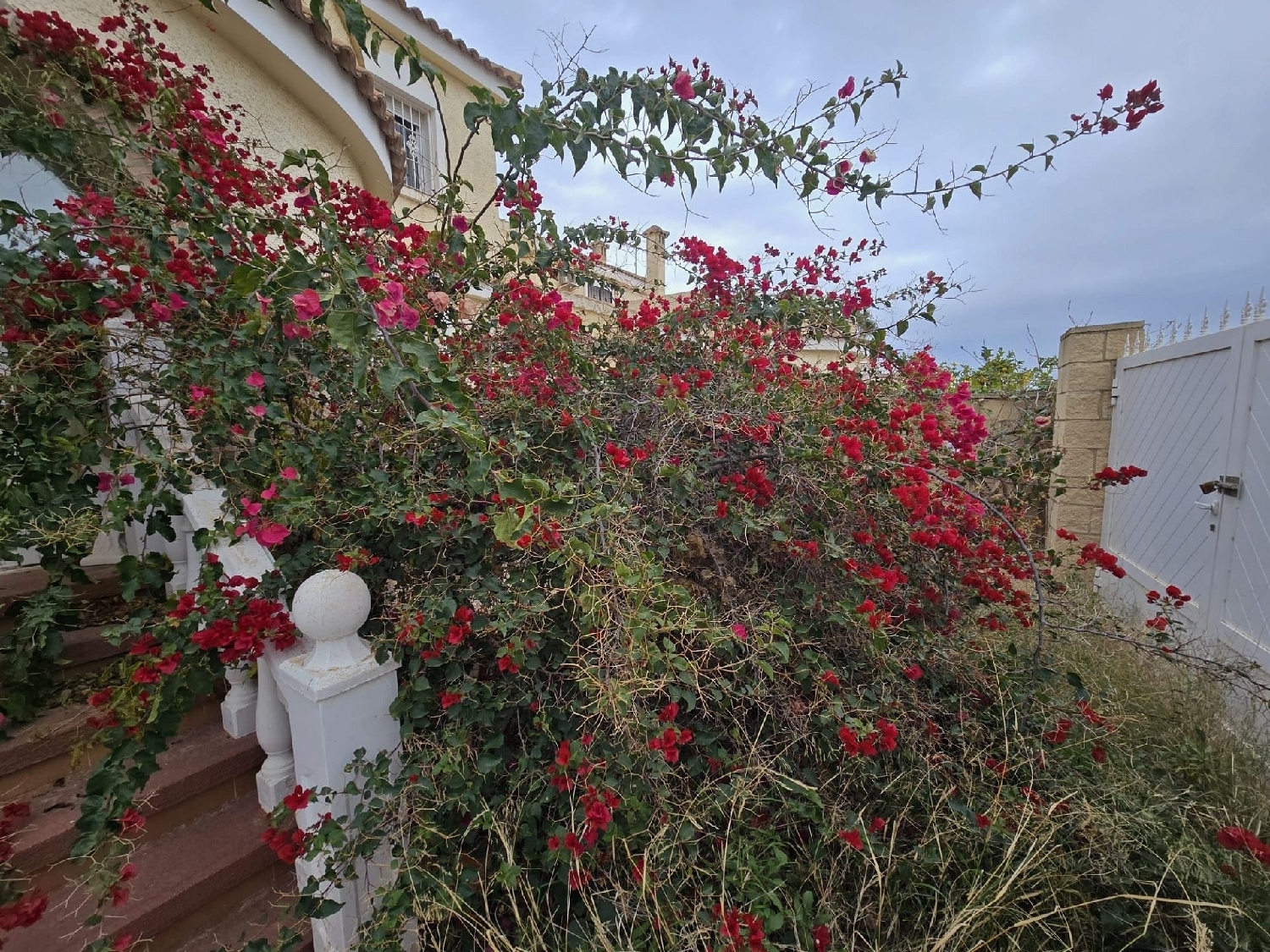  à vendre villa Monforte Del Cid Vinalopó Mitjà 38