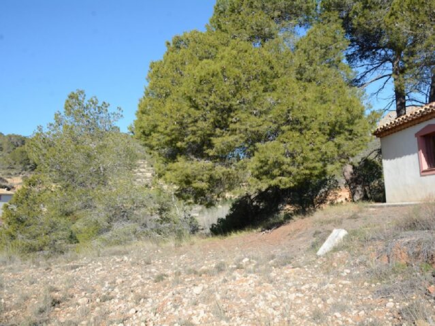  à vendre villa Monóvar Vinalopó Mitjà 20