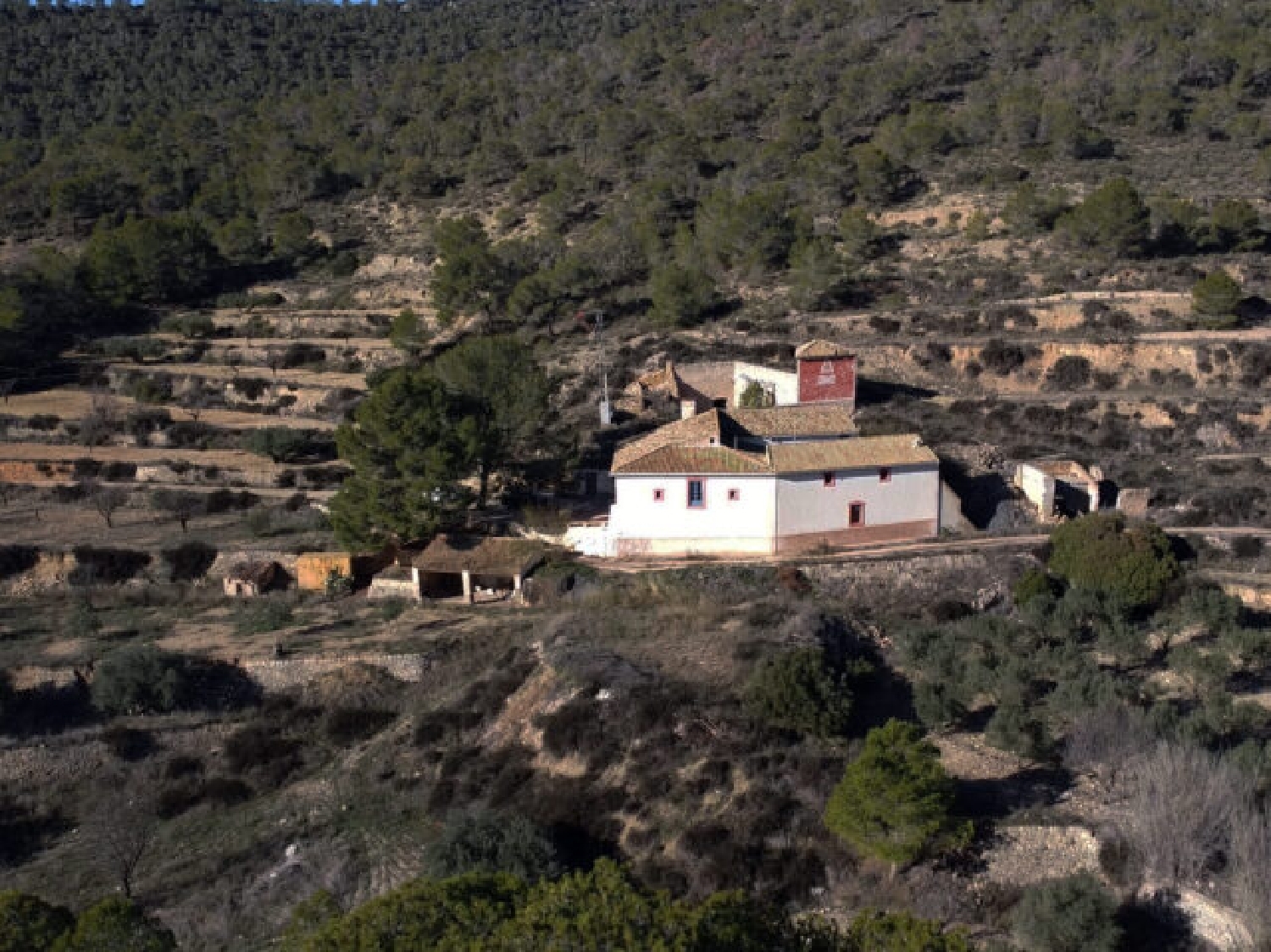  à vendre villa Monóvar Vinalopó Mitjà 5