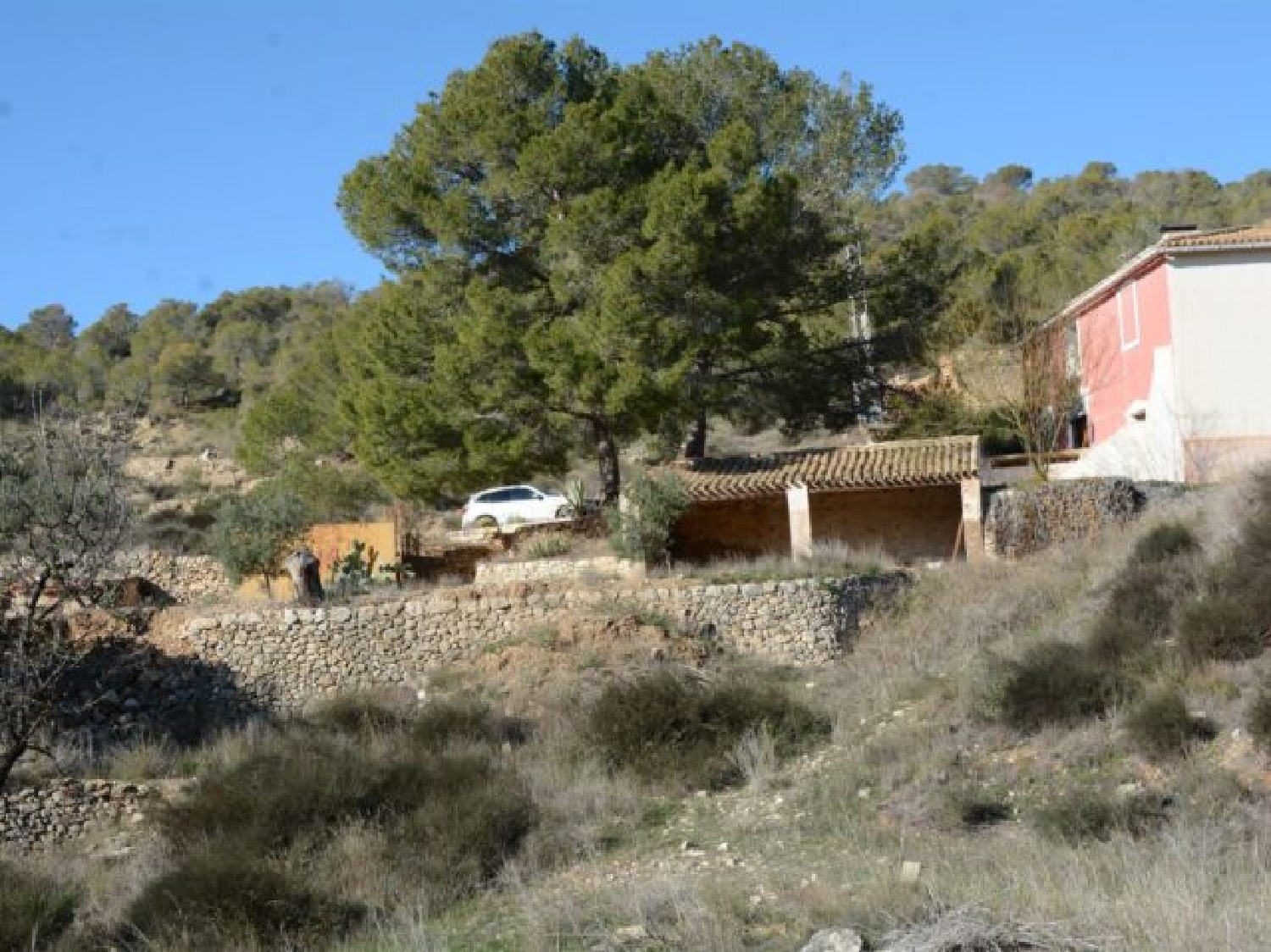  à vendre villa Monóvar Vinalopó Mitjà 9