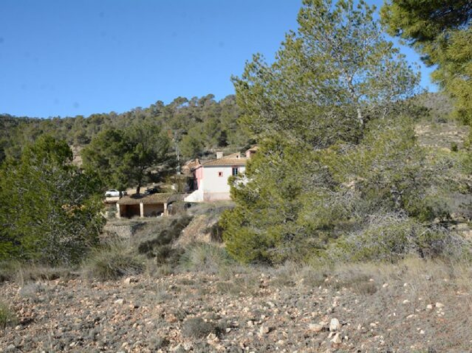  à vendre villa Monóvar Vinalopó Mitjà 19