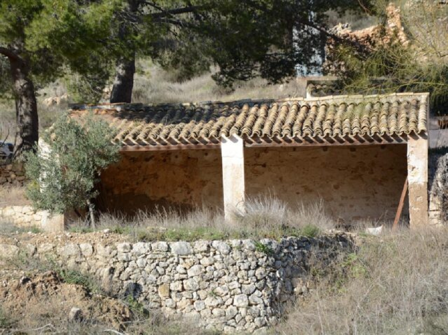  à vendre villa Monóvar Vinalopó Mitjà 18