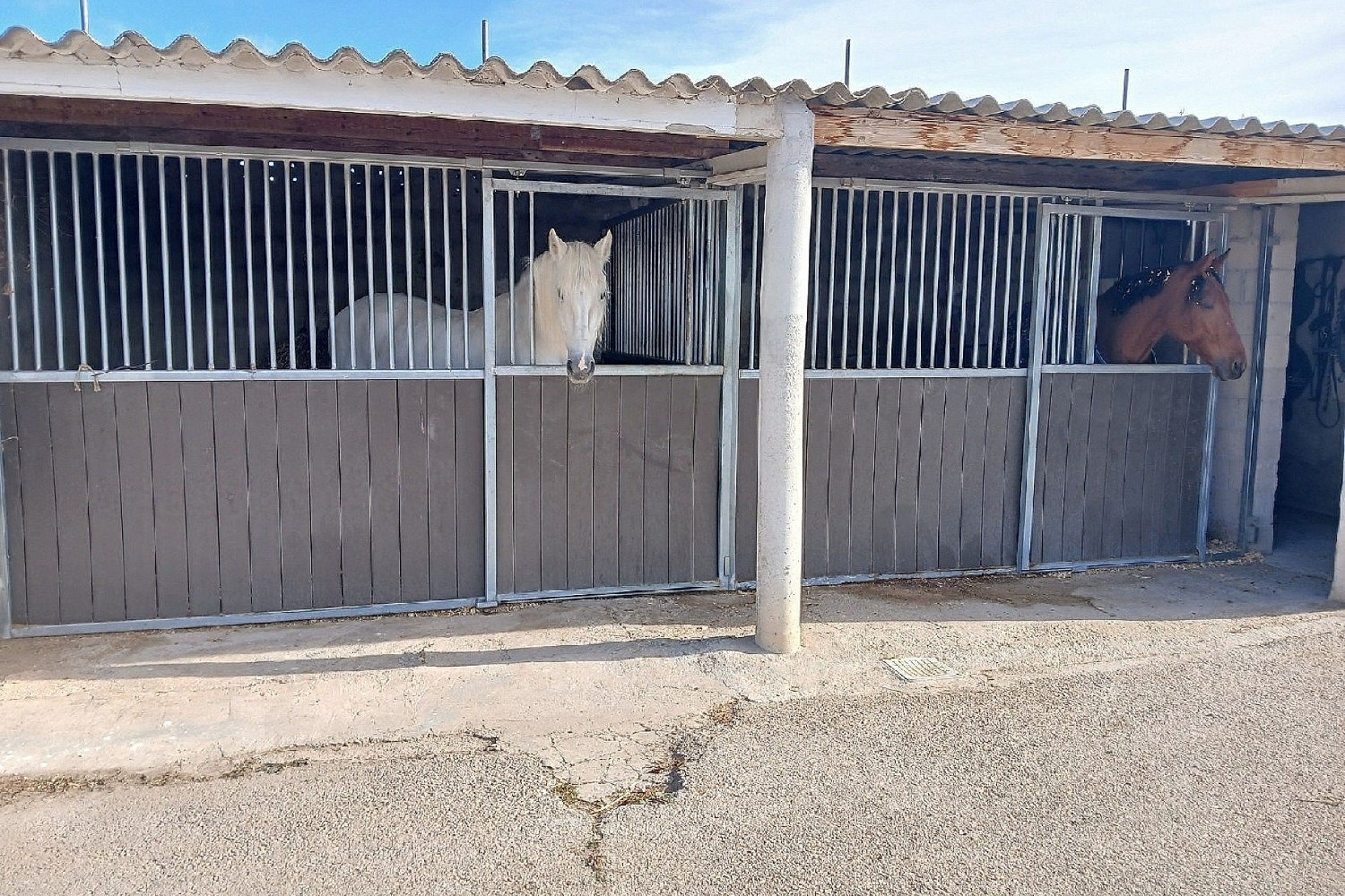 à vendre villa Monóvar Vinalopó Mitjà 37