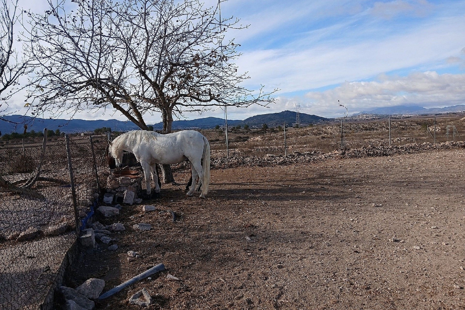 à vendre villa Monóvar Vinalopó Mitjà 35