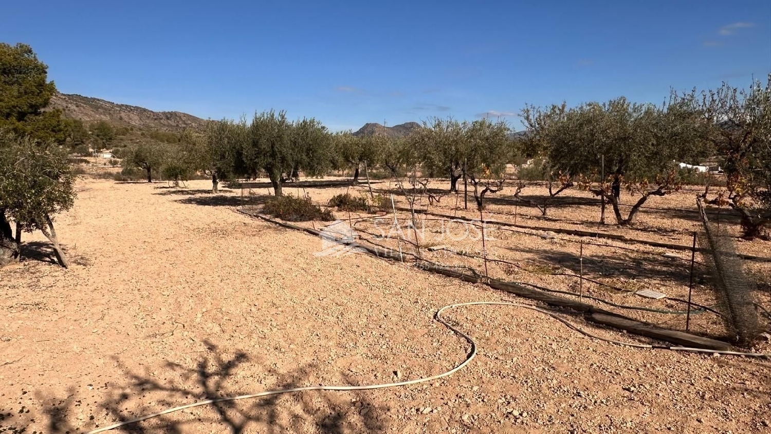  till salu villa Monóvar Vinalopó Mitjà 5