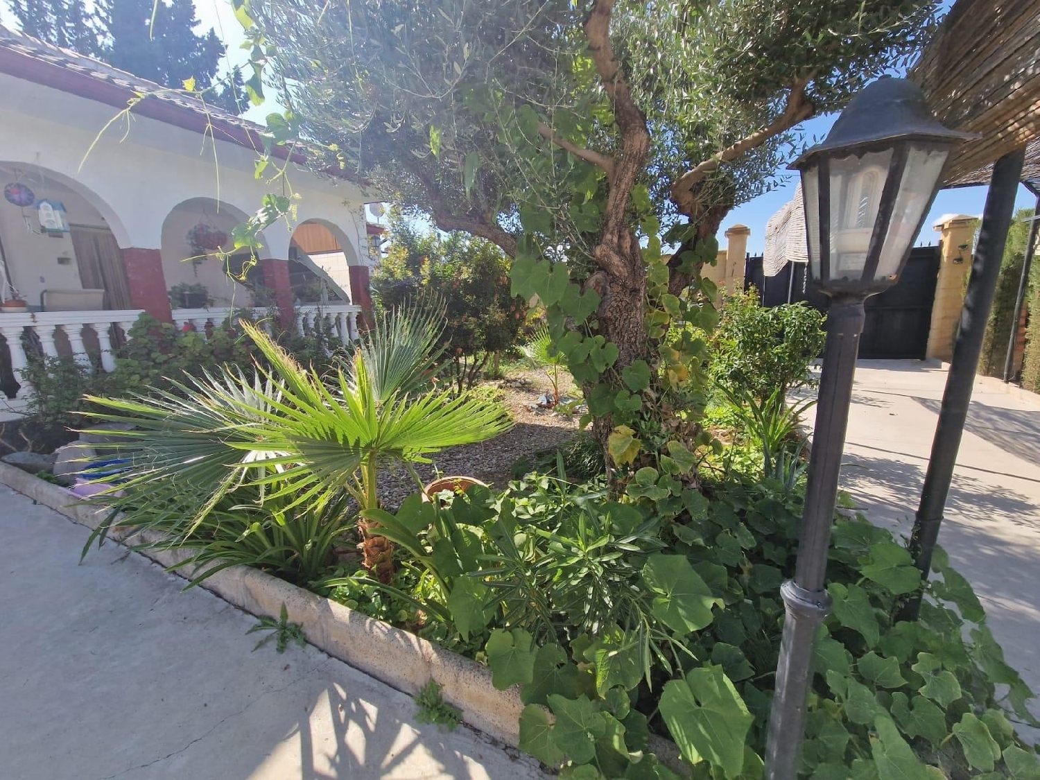  te koop villa Moraleda De Zafayona Loja 8