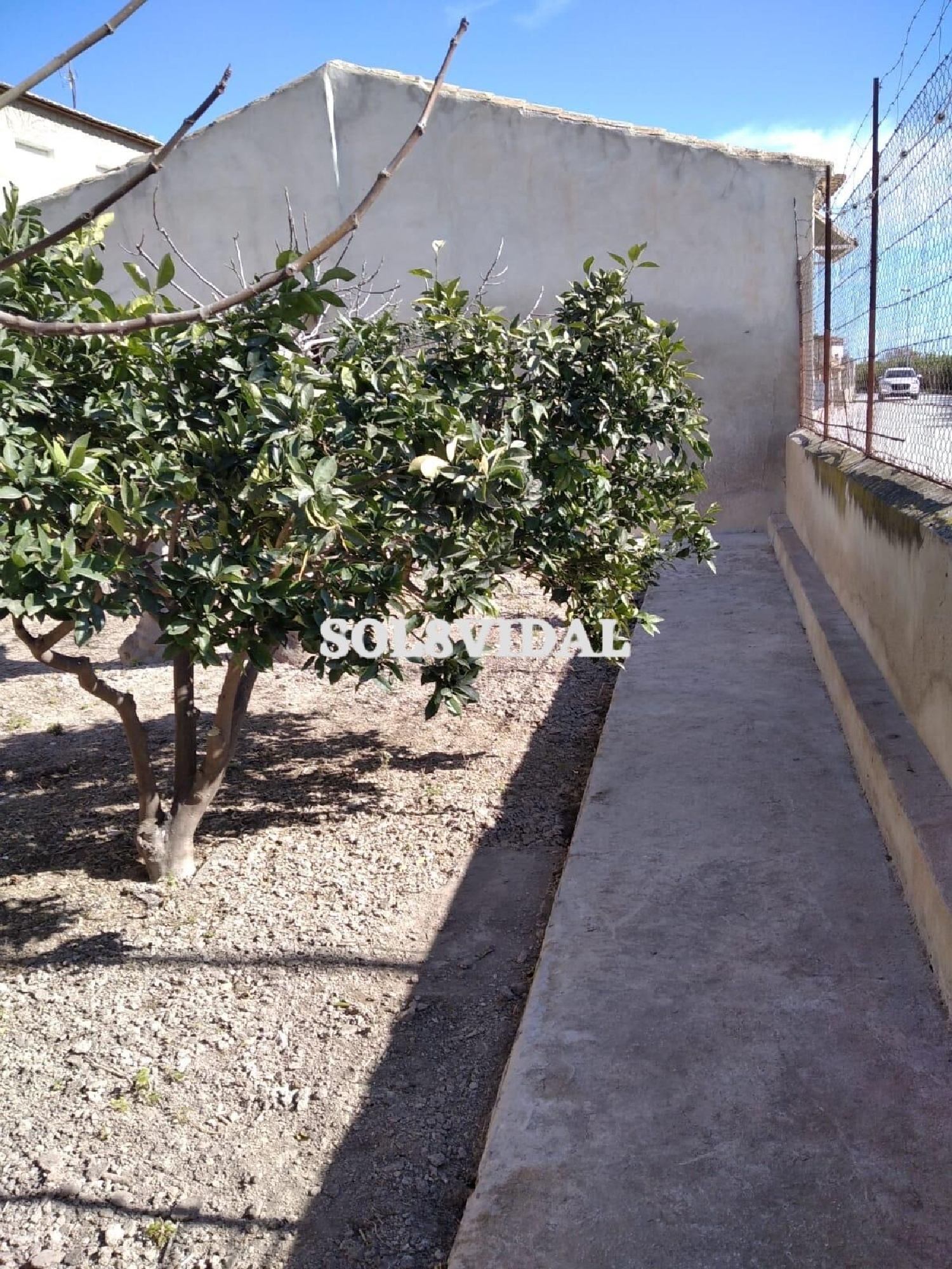  à vendre villa Orihuela Baix Segura 7