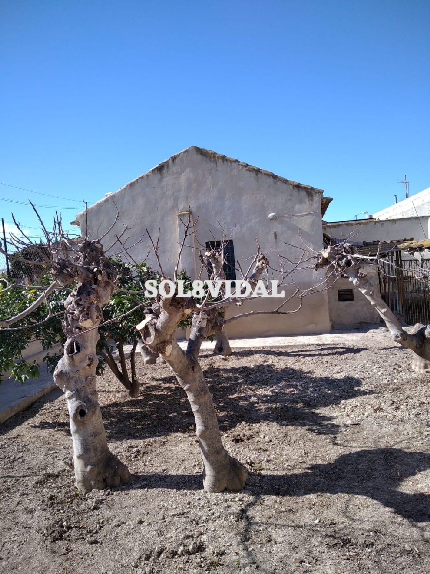  à vendre villa Orihuela Baix Segura 4