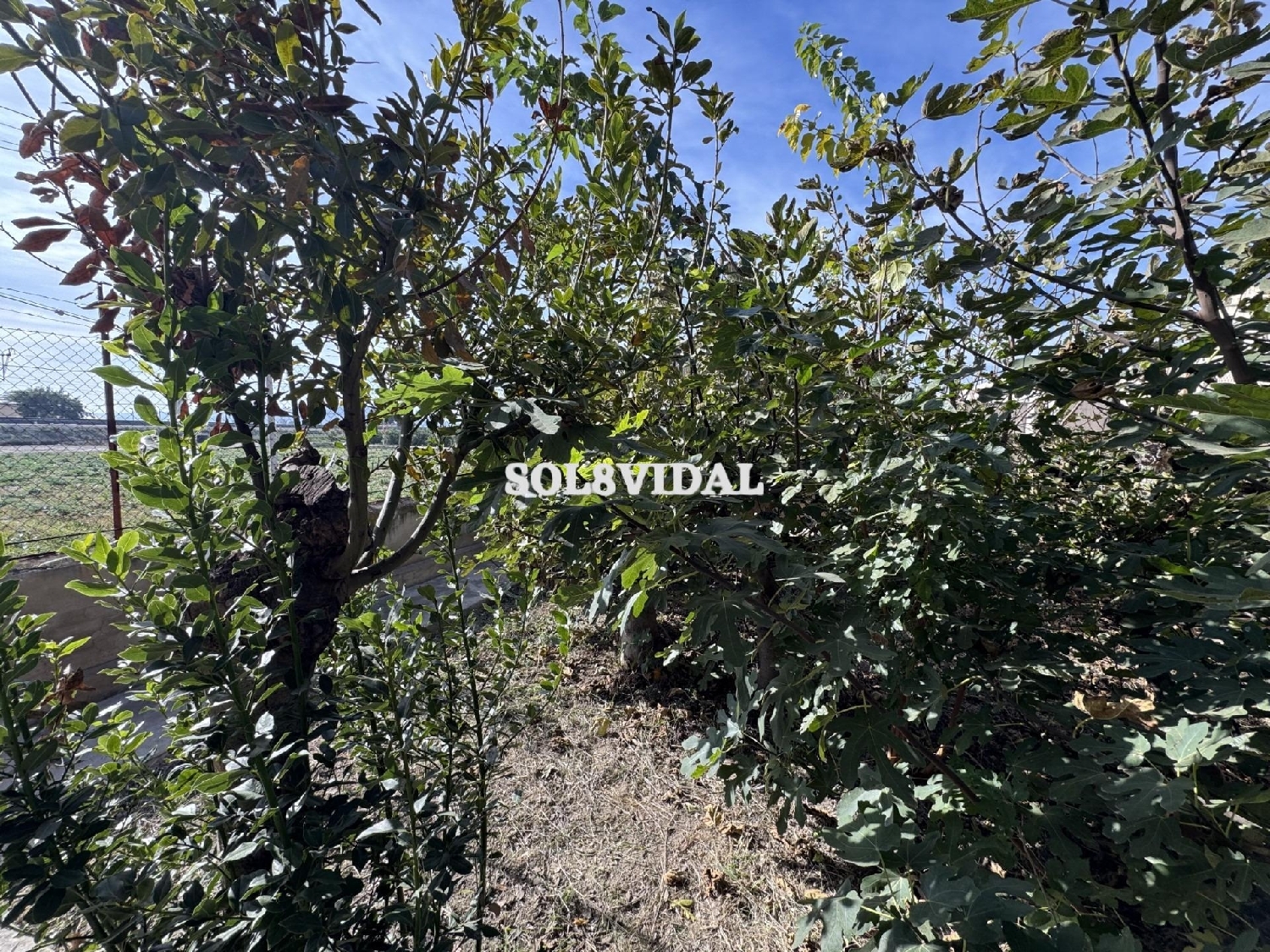  à vendre villa Orihuela Baix Segura 8