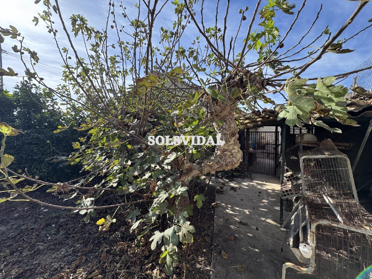  à vendre villa Orihuela Baix Segura 3